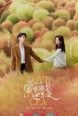 桐乡seo搜索优化